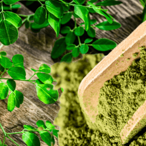 Pure Murungai Powder